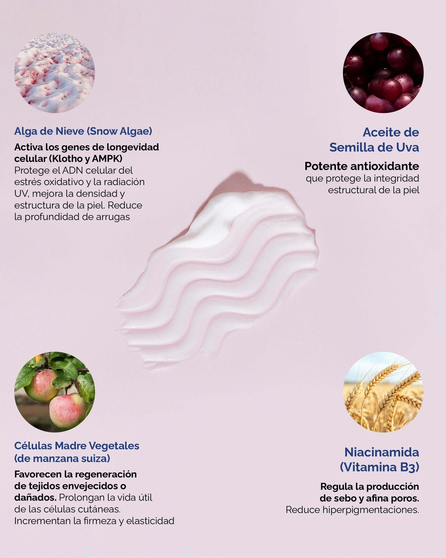 Snow Algae Cream: Crema Facial Antiedad con Alga Suiza y Células Madre