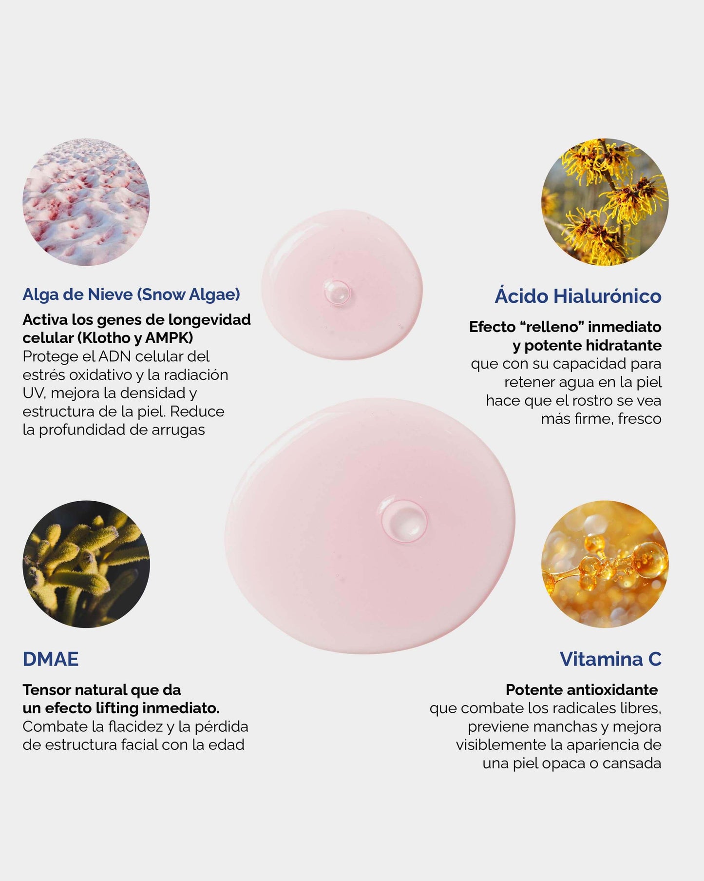 Longevity Serum: Suero facial con Alga Suiza