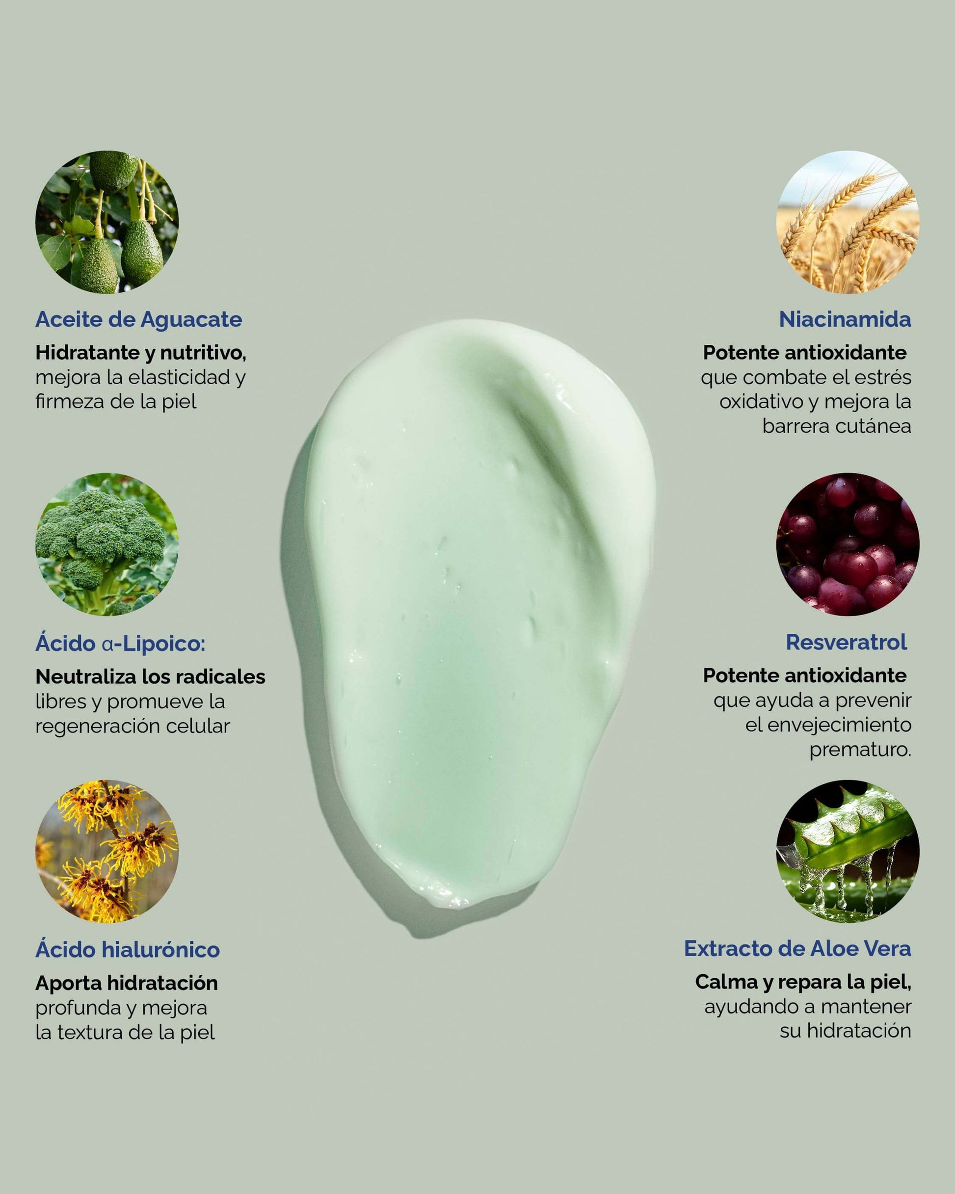 Nourish: Crema Rejuvenecedora - KareCo Derm