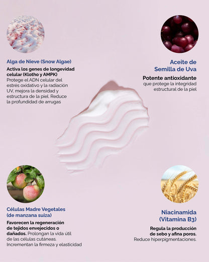 Snow Algae Cream: Crema Facial Antiedad con Alga Suiza y Células Madre - KareCo Derm